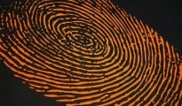 Fingerprint