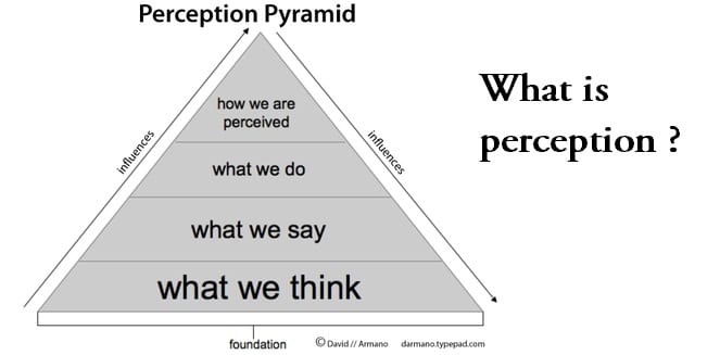 What is perception ?