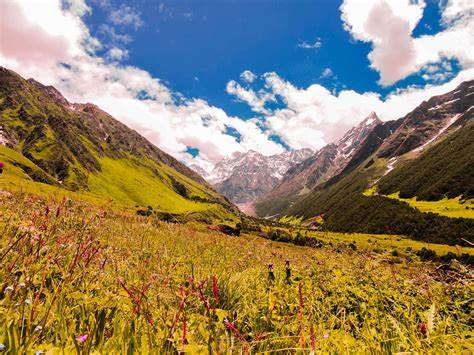 Valley of Flowers Trek, Uttrakhand